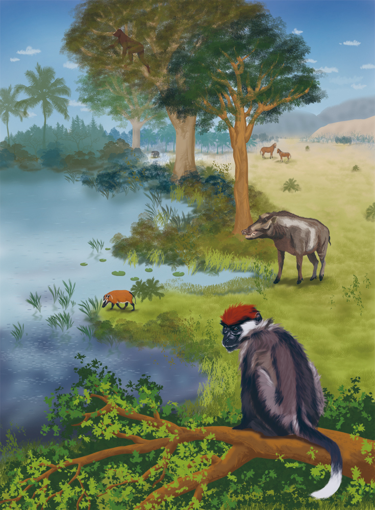 Иллюстрация к книге — Палеонтология антрополога. Иллюстрированный путеводитель в зверинец прошлого [i_036.jpg]