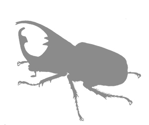 Иллюстрация к книге — Фабр. Восстание жуков [i_014.jpg]