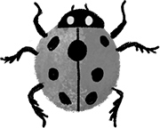 Иллюстрация к книге — Фабр. Королева жуков [i_007.jpg]