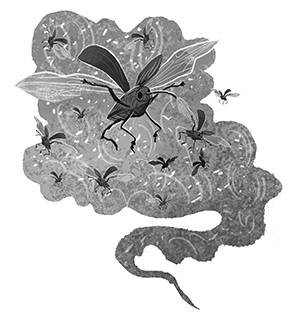 Иллюстрация к книге — Битва жуков [i_004.jpg]