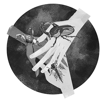 Иллюстрация к книге — Битва жуков [i_027.jpg]