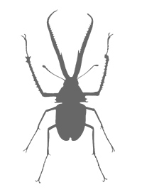 Иллюстрация к книге — Битва жуков [i_035.jpg]