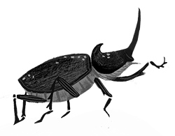 Иллюстрация к книге — Битва жуков [i_039.jpg]