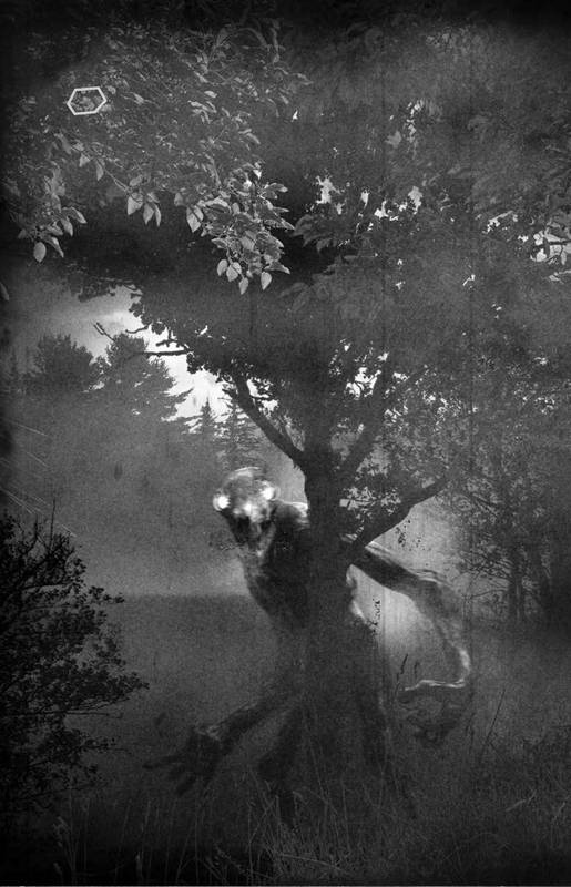 Иллюстрация к книге — Тебе не спрятаться [i_008.jpg]