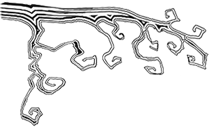 Иллюстрация к книге — Скелет в шкафу и другие ужасные истории [i_044.jpg]