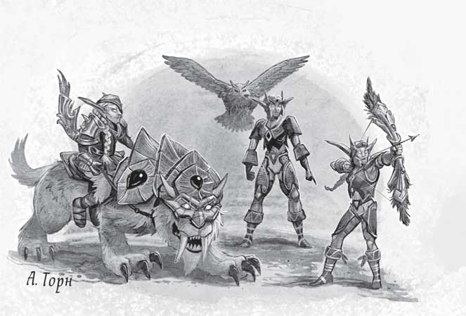 Иллюстрация к книге — Traveler: Сияющий клинок [i_006.jpg]