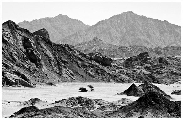 Иллюстрация к книге — Египетские мифы. От пирамид и фараонов до Анубиса и «Книги мертвых» [i_066.jpg]