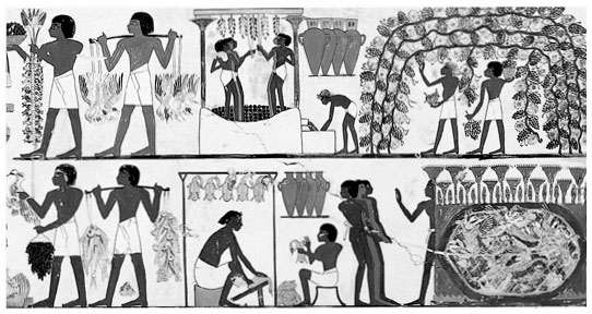 Иллюстрация к книге — Египетские мифы. От пирамид и фараонов до Анубиса и «Книги мертвых» [i_097.jpg]