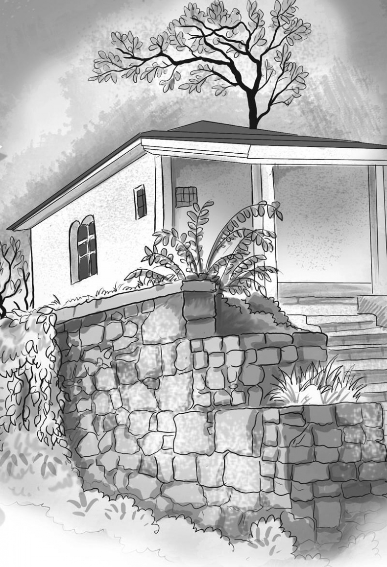 Иллюстрация к книге — Подлинная история ожерелья Антуанетты. Том 2 [i_002.jpg]