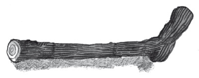 Иллюстрация к книге — Ронан Бойл и Мост загадок [i_003.jpg]