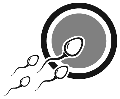 Иллюстрация к книге — Доказательная гинекология и немного волшебства на пути к двум полоскам [i_003.jpg]