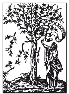 Иллюстрация к книге — История книгоиздания в Европе. Пять веков от первого печатного станка до современных технологий [i_021.jpg]