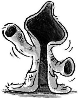 Иллюстрация к книге — Бука. Нежданные гости [i_006.jpg]