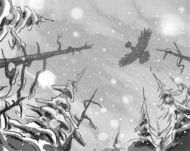 Иллюстрация к книге — Бука. Нежданные гости [i_014.jpg]