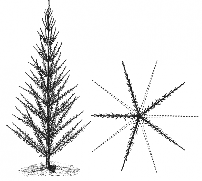 Иллюстрация к книге — Как обустроить сад и зарабатывать на нем [i_019.jpg]