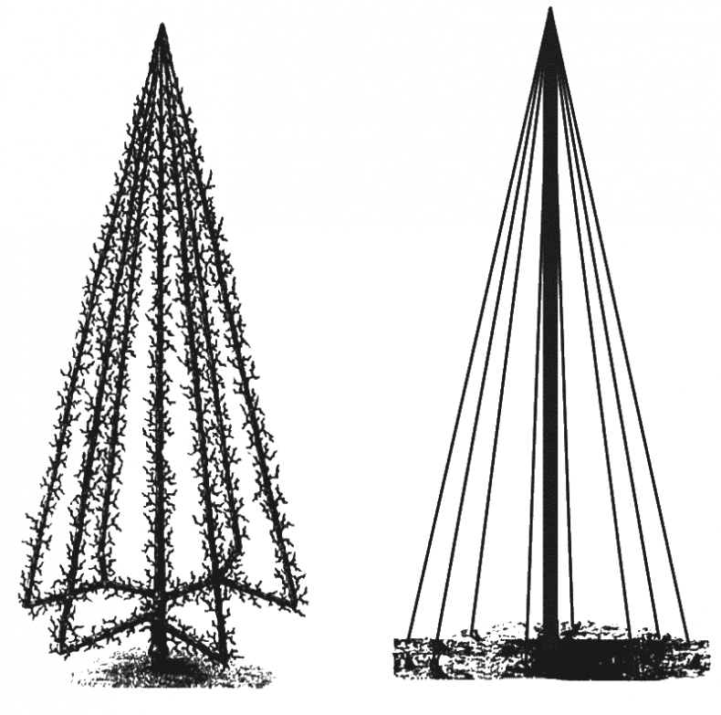 Иллюстрация к книге — Как обустроить сад и зарабатывать на нем [i_020.jpg]