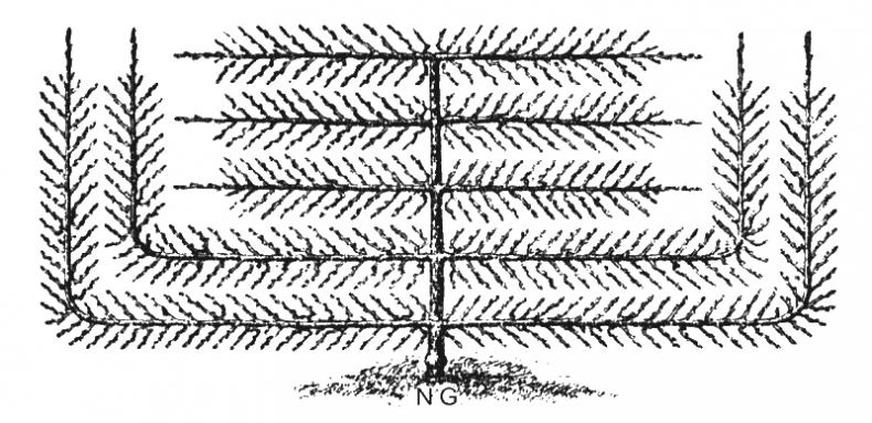 Иллюстрация к книге — Как обустроить сад и зарабатывать на нем [i_021.jpg]