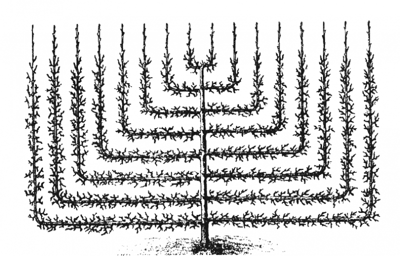 Иллюстрация к книге — Как обустроить сад и зарабатывать на нем [i_026.jpg]