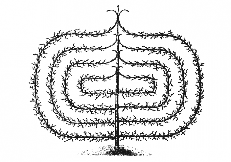 Иллюстрация к книге — Как обустроить сад и зарабатывать на нем [i_028.jpg]