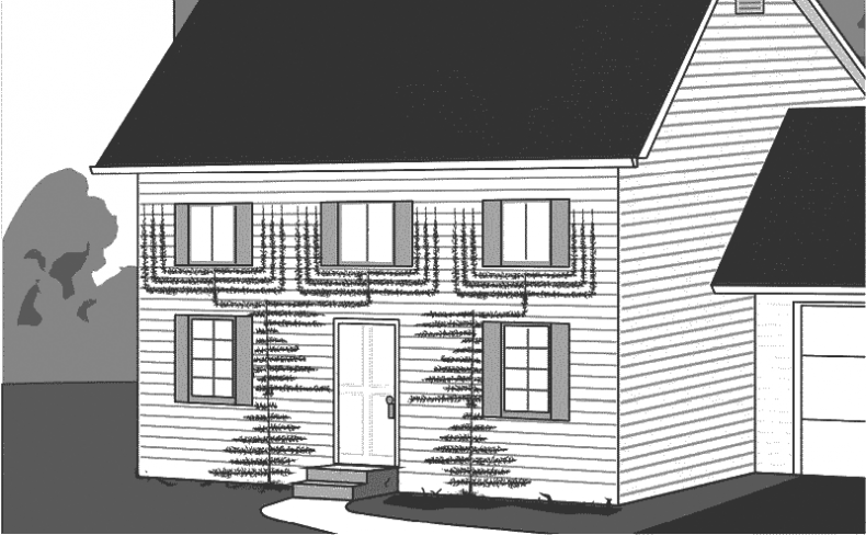 Иллюстрация к книге — Как обустроить сад и зарабатывать на нем [i_031.jpg]