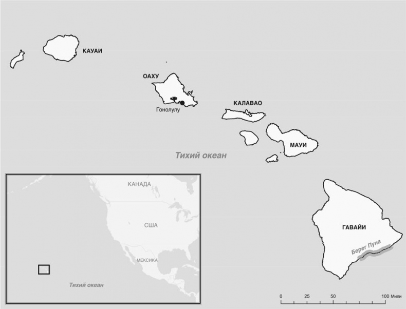 Иллюстрация к книге — Узкий коридор [i_007.jpg]