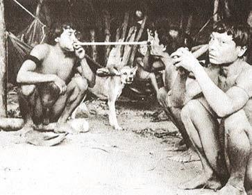 Иллюстрация к книге — Мистерии Мухомора [i_002.jpg]