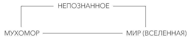 Иллюстрация к книге — Мистерии Мухомора [i_021.jpg]