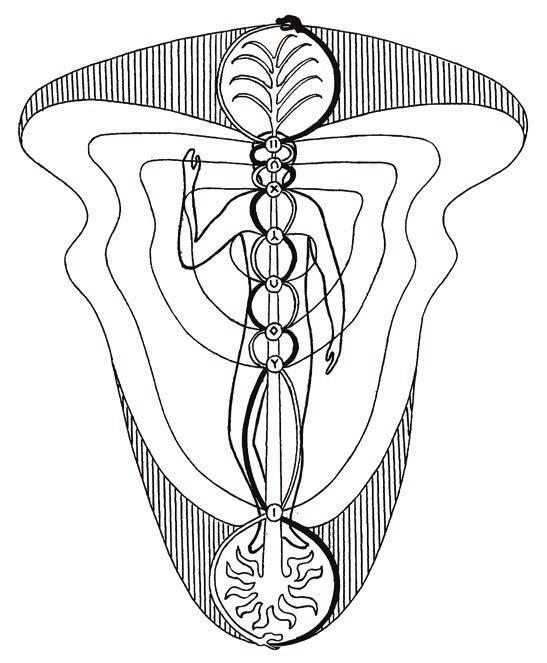 Иллюстрация к книге — Мистерии Мухомора [i_028.jpg]
