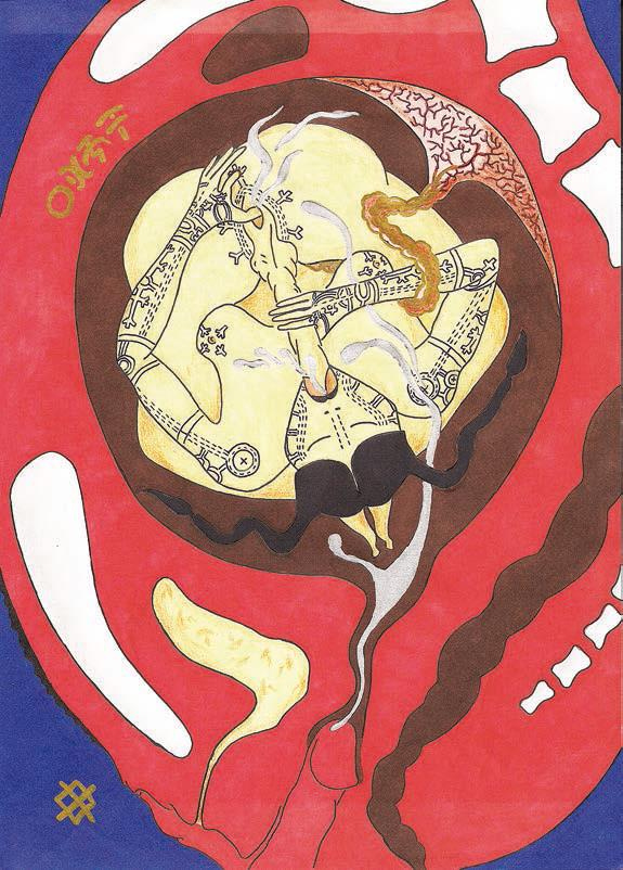 Иллюстрация к книге — Мистерии Мухомора [i_033.jpg]