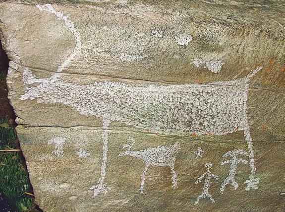 Иллюстрация к книге — Мистерии Мухомора [i_039.jpg]