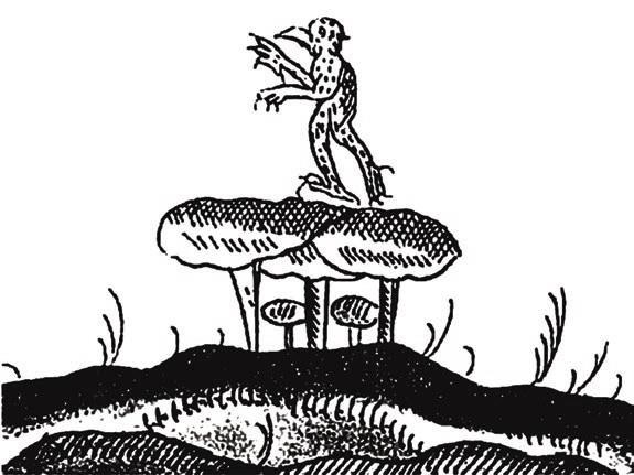 Иллюстрация к книге — Мистерии Мухомора [i_048.jpg]