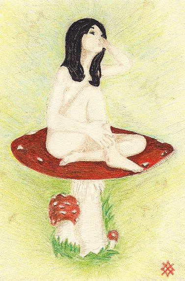 Иллюстрация к книге — Мистерии Мухомора [i_049.jpg]