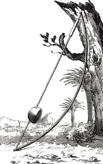 Иллюстрация к книге — Мистерии Мухомора [i_055.jpg]