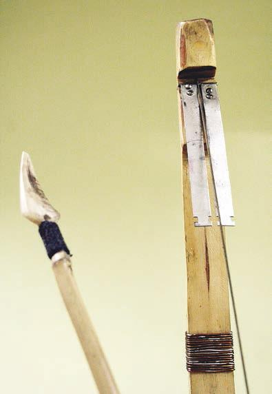 Иллюстрация к книге — Мистерии Мухомора [i_056.jpg]