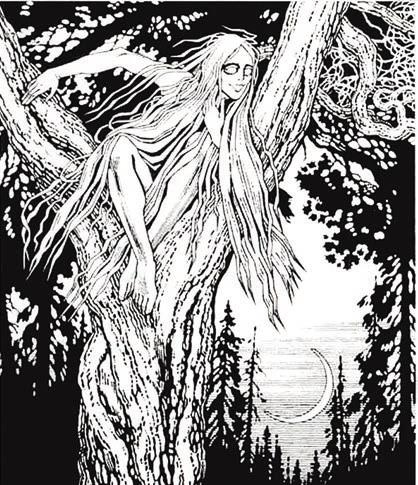 Иллюстрация к книге — Мистерии Мухомора [i_069.jpg]