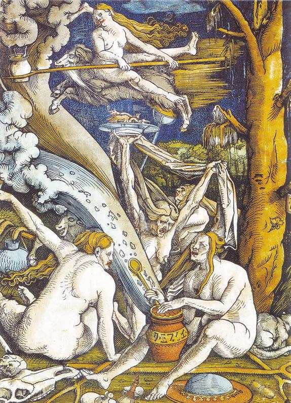 Иллюстрация к книге — Мистерии Мухомора [i_088.jpg]