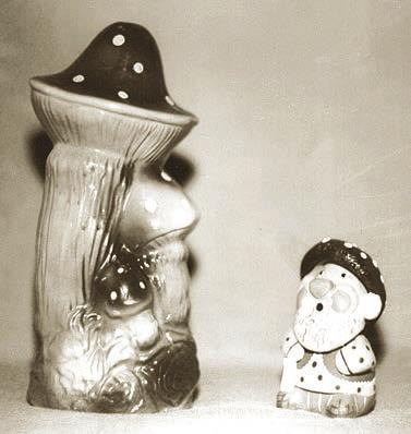 Иллюстрация к книге — Мистерии Мухомора [i_104.jpg]