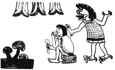 Иллюстрация к книге — Мистерии Мухомора [i_126.jpg]