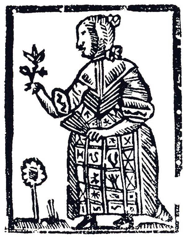 Иллюстрация к книге — Мистерии Мухомора [i_145.jpg]