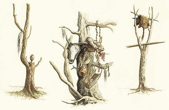 Иллюстрация к книге — Мистерии Мухомора [i_146.jpg]