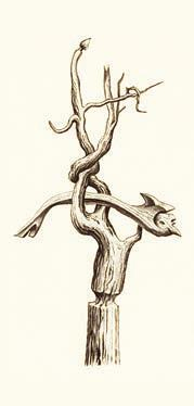 Иллюстрация к книге — Мистерии Мухомора [i_147.jpg]