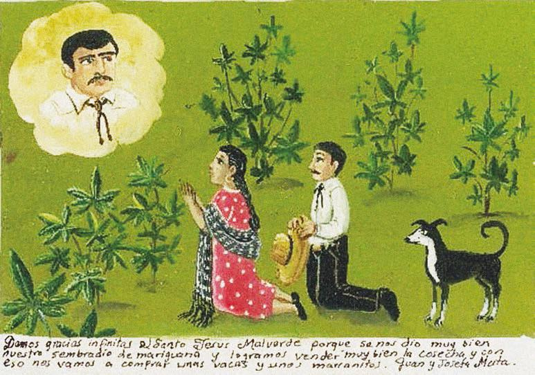 Иллюстрация к книге — Мистерии Мухомора [i_158.jpg]