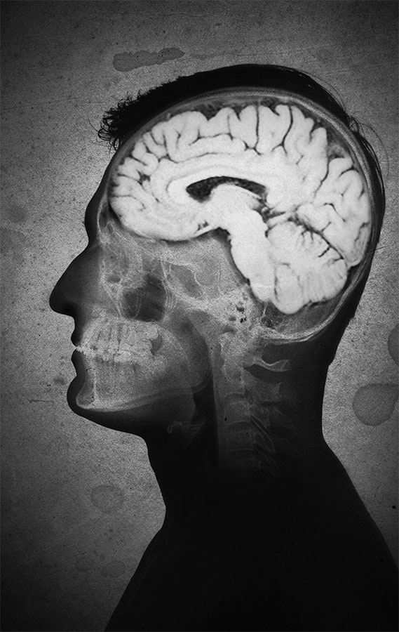 Иллюстрация к книге — 99 секретов биологии [i_012.jpg]