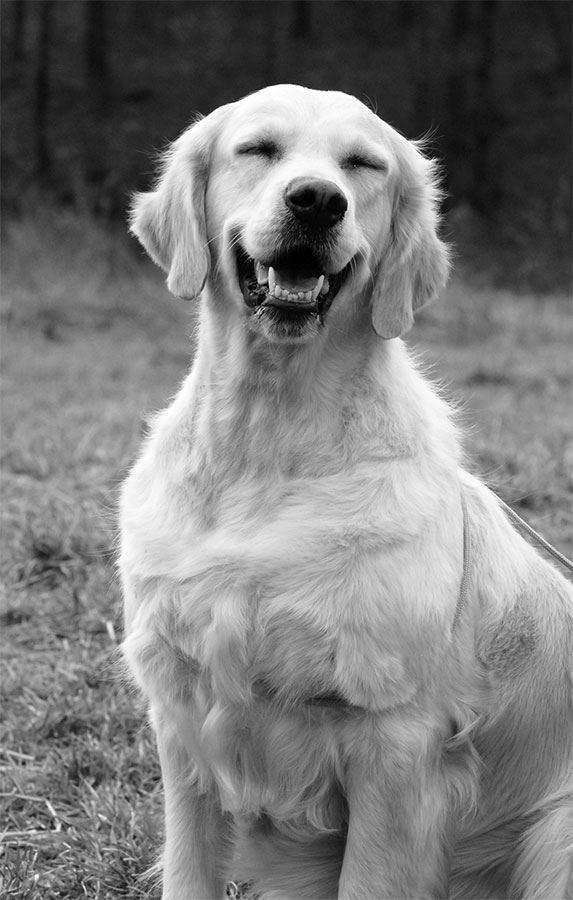 Иллюстрация к книге — 99 секретов биологии [i_014.jpg]