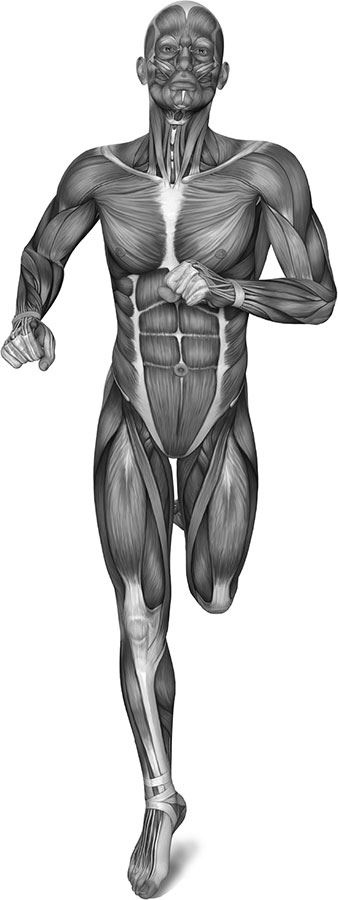 Иллюстрация к книге — 99 секретов биологии [i_015.jpg]