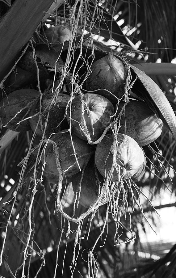 Иллюстрация к книге — 99 секретов биологии [i_033.jpg]