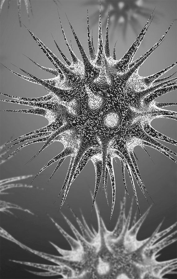 Иллюстрация к книге — 99 секретов биологии [i_036.jpg]