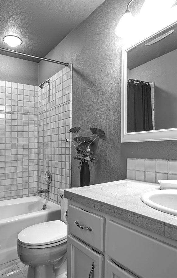 Иллюстрация к книге — 99 секретов биологии [i_038.jpg]