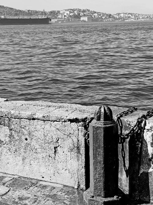 Иллюстрация к книге — На берегах Босфора. Стамбул в рецептах, историях и криках чаек [i_005.jpg]