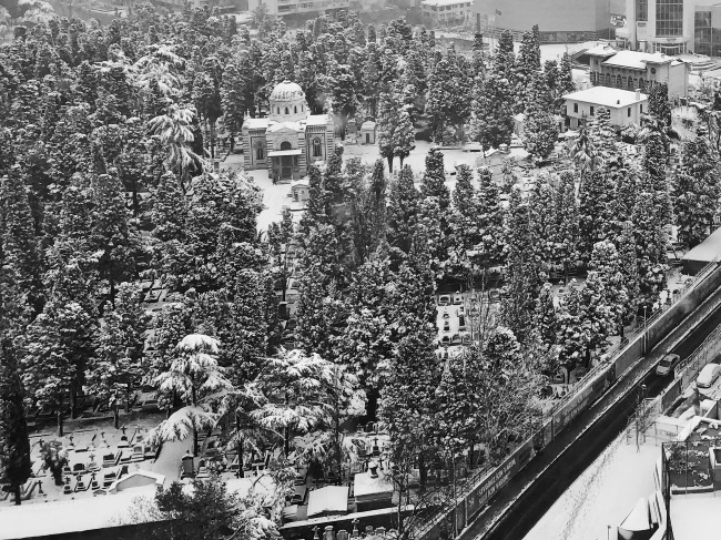 Иллюстрация к книге — На берегах Босфора. Стамбул в рецептах, историях и криках чаек [i_008.jpg]